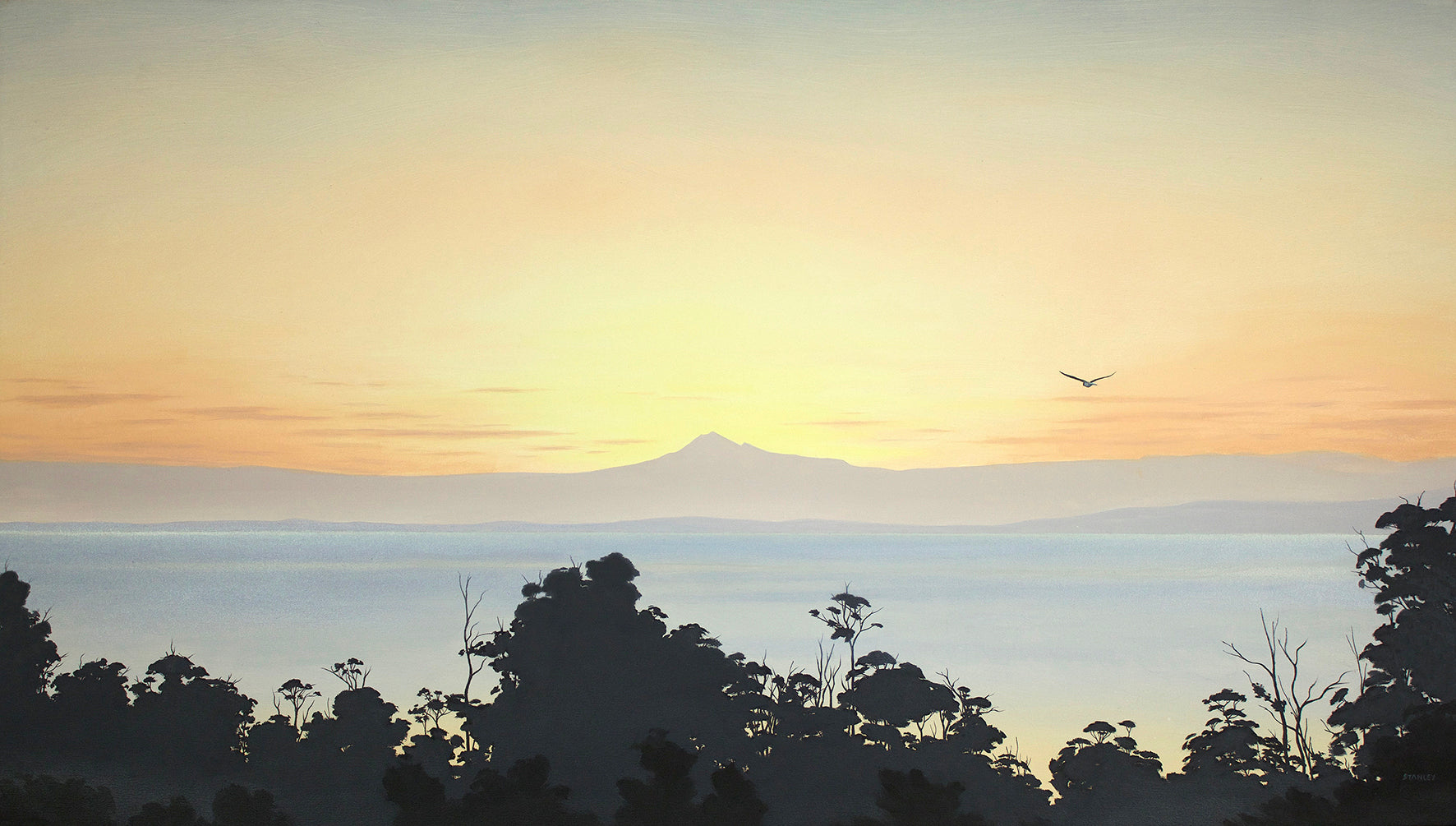 Adamsons Peak Sunset Tasmania with bird