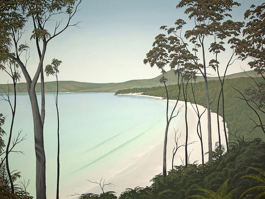 Adventure Bay Revisited. Bruny Island