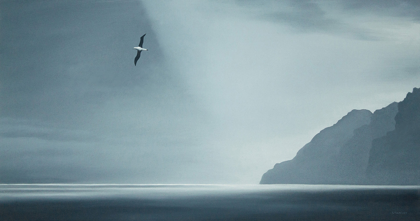 Soul Albatross over Bathurst Habour Tasmania