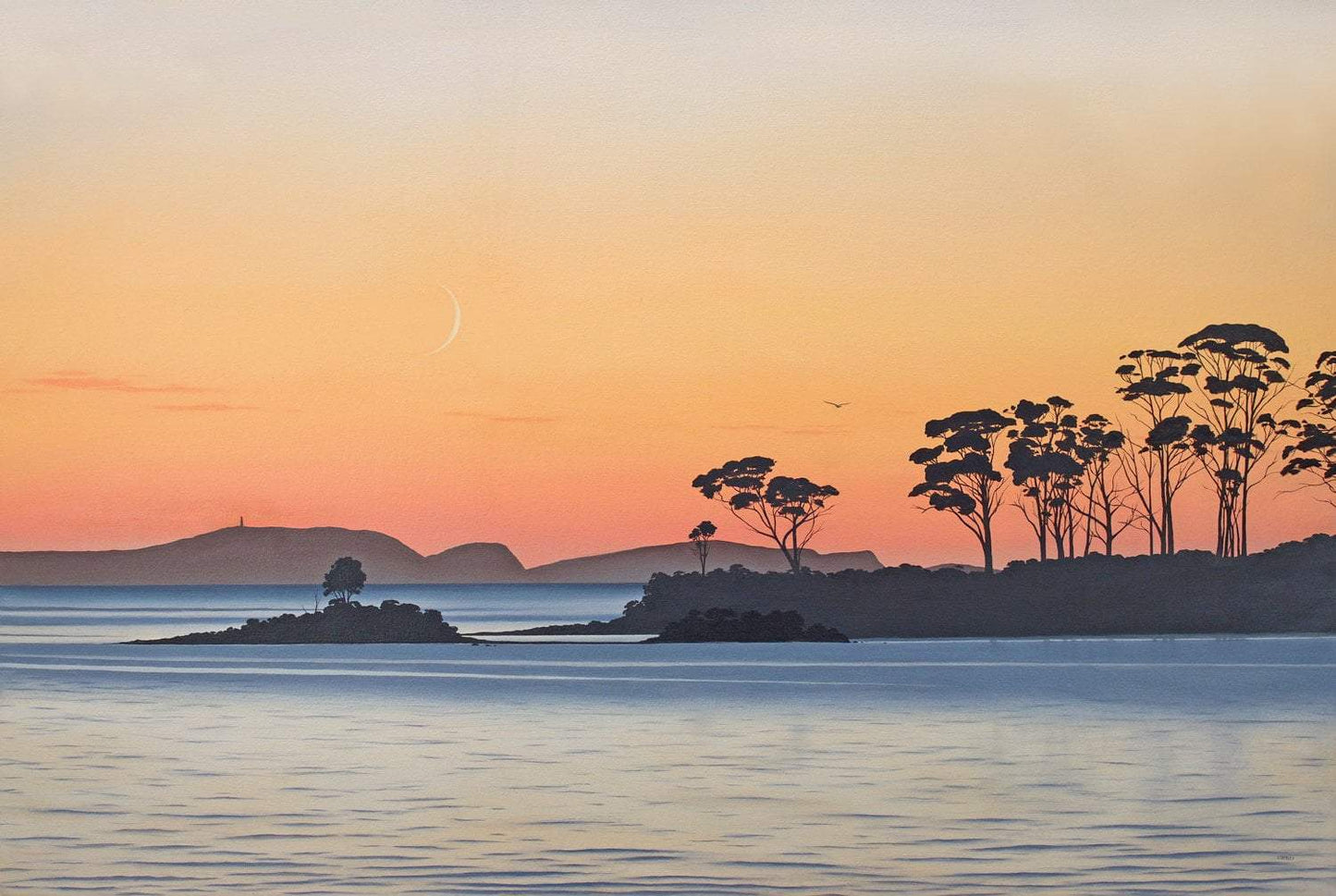 Cape Bruny from Southport, Tasmania. Original Oil Painting / Tasmanian Art / The Art of Richard Stanley