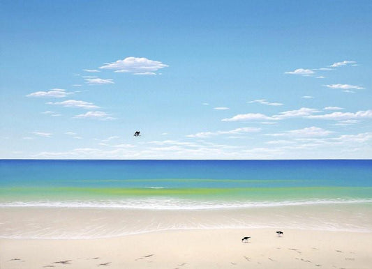 Oyster Catchers, Bay of Fires, East coast, Tasmania Fine Art Prints The Art of Richard Stanley