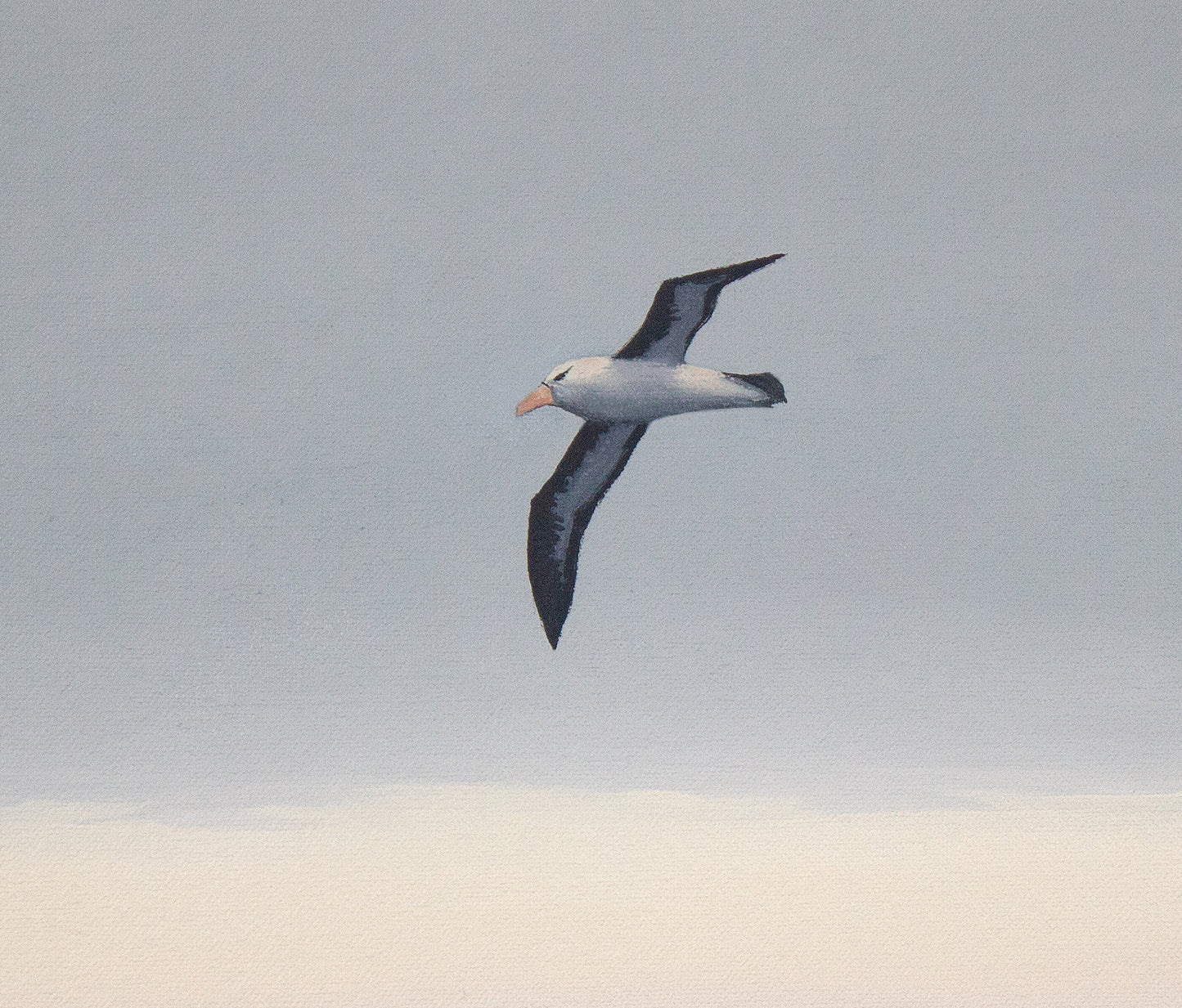 Passing Albatross 2