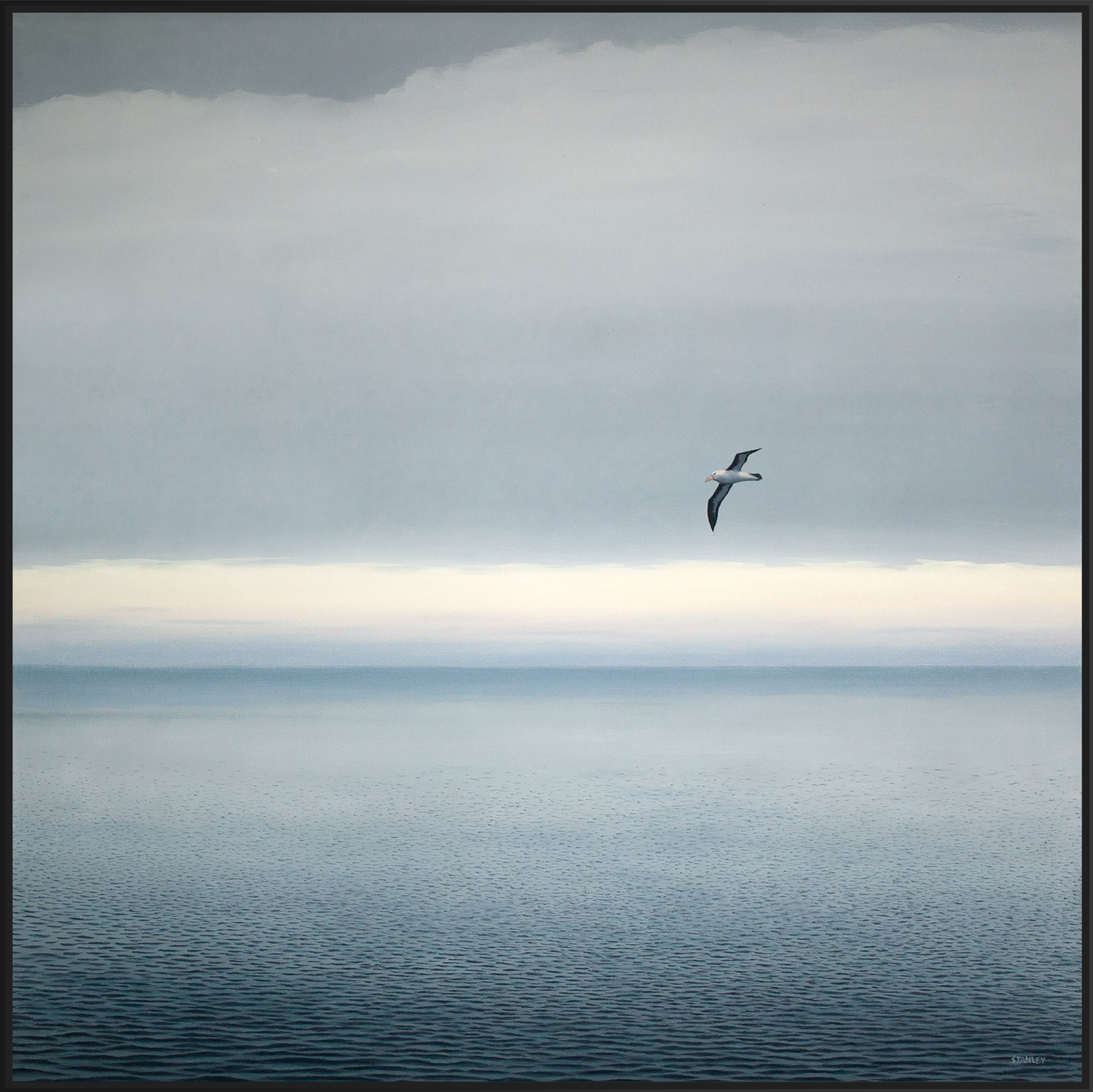 Passing Albatross 2