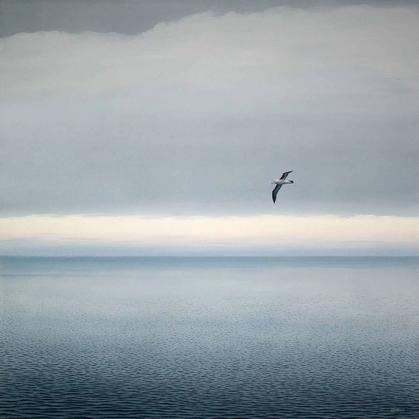 Passing Albatross 2
