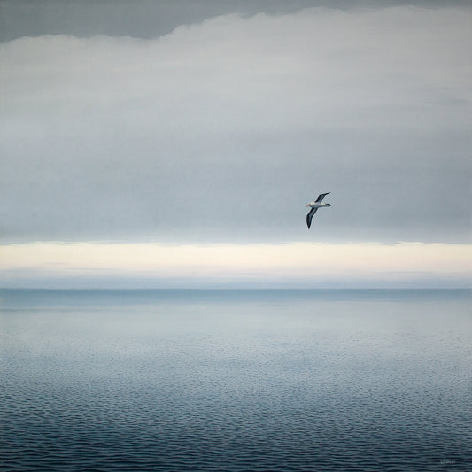 Passing Albatross 2