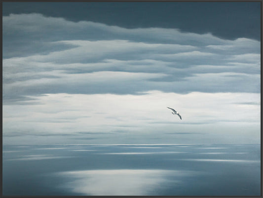 Passing Albatross