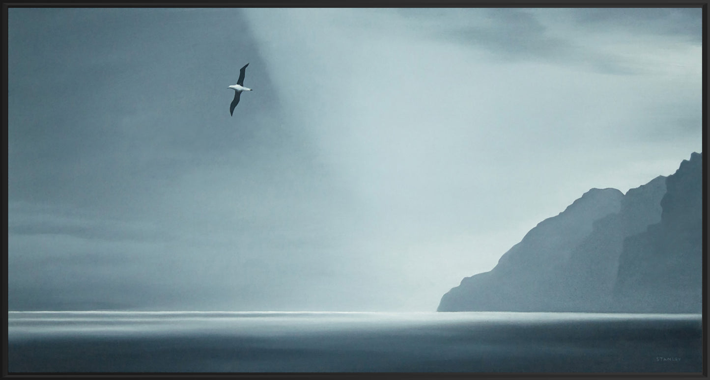 Soul Albatross over Bathurst Habour Tasmania
