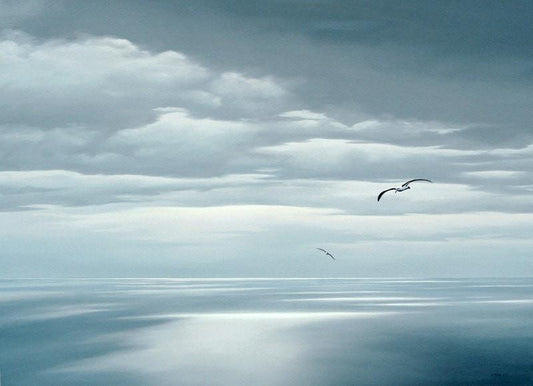 Albatross over Bass Strait, Tasmania Award Winner / Fine Art Print / Tasmanian art / The Art of Richard Stanley