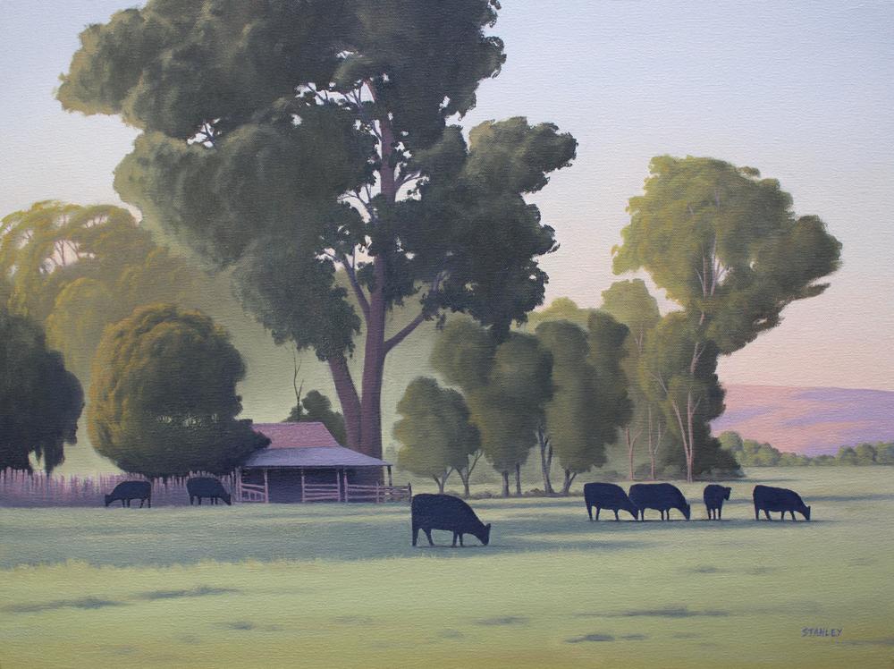 Cows at Cradoc, Tasmania. Fine Art Print / Tasmanian Art / The Art of Richard Stanley